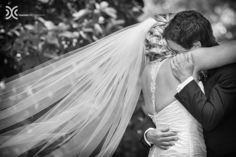 Candid Wedding Moments: 11502 - WeddingWise Lookbook - wedding photo inspiration